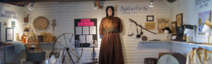 Sylvia Hardy banner